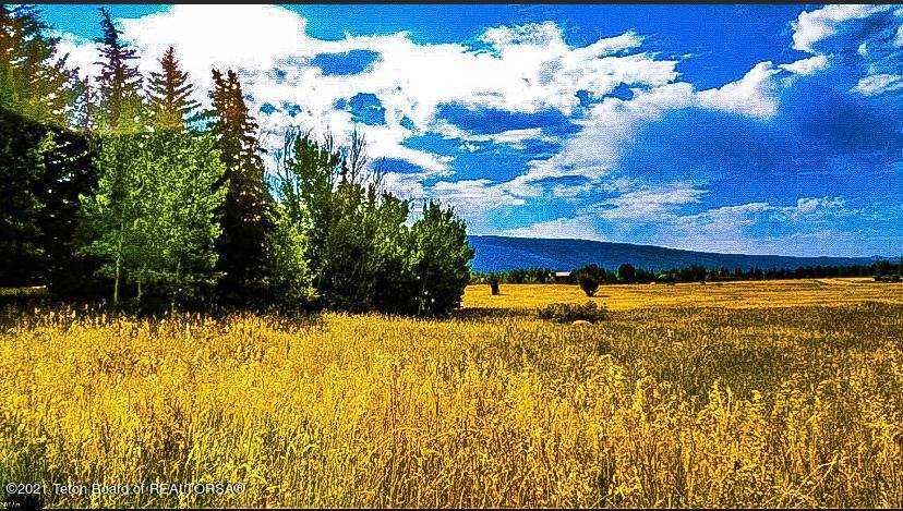 2. Land for Sale at 435 TARGHEE TOWNE ROAD Alta, Wyoming 83414 United States