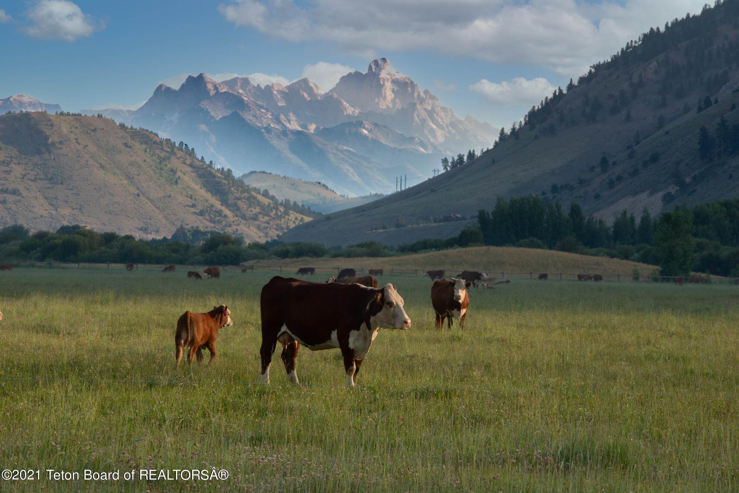 Farm and Ranch Properties for Sale at 4500 S PARK LOOP ROAD Jackson, Wyoming 83001 United States