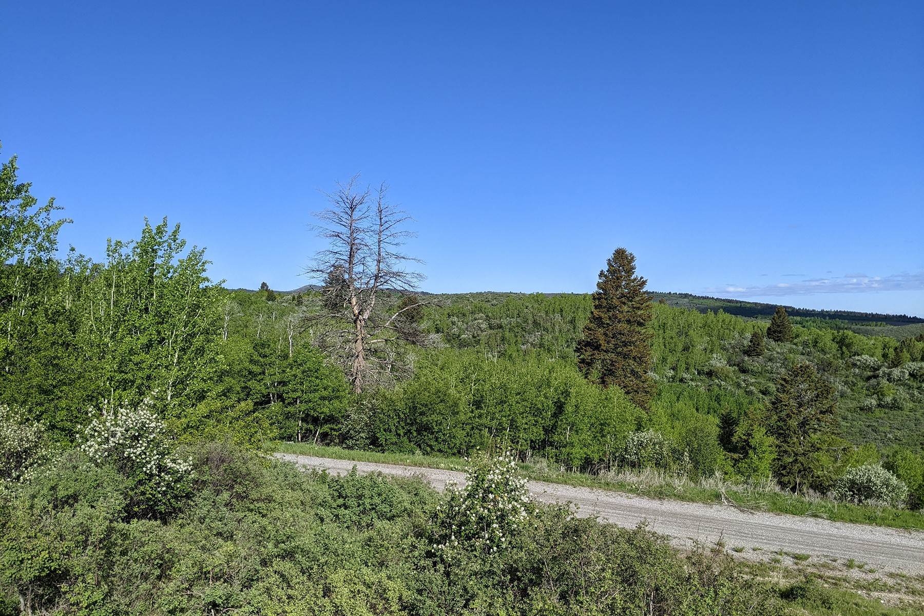 8. Land for Sale at Lot 11 Wagon Wheel Road Swan Valley, Idaho 83449 United States