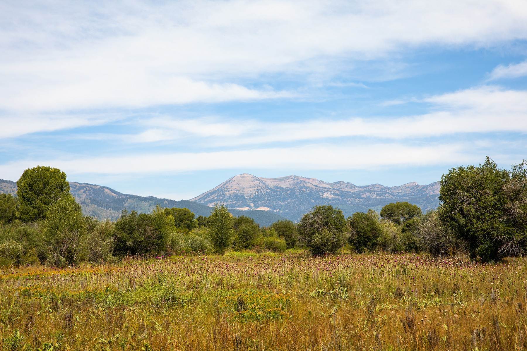 Land for Sale at TBD Rockmore Road Jackson, Wyoming 83001 United States