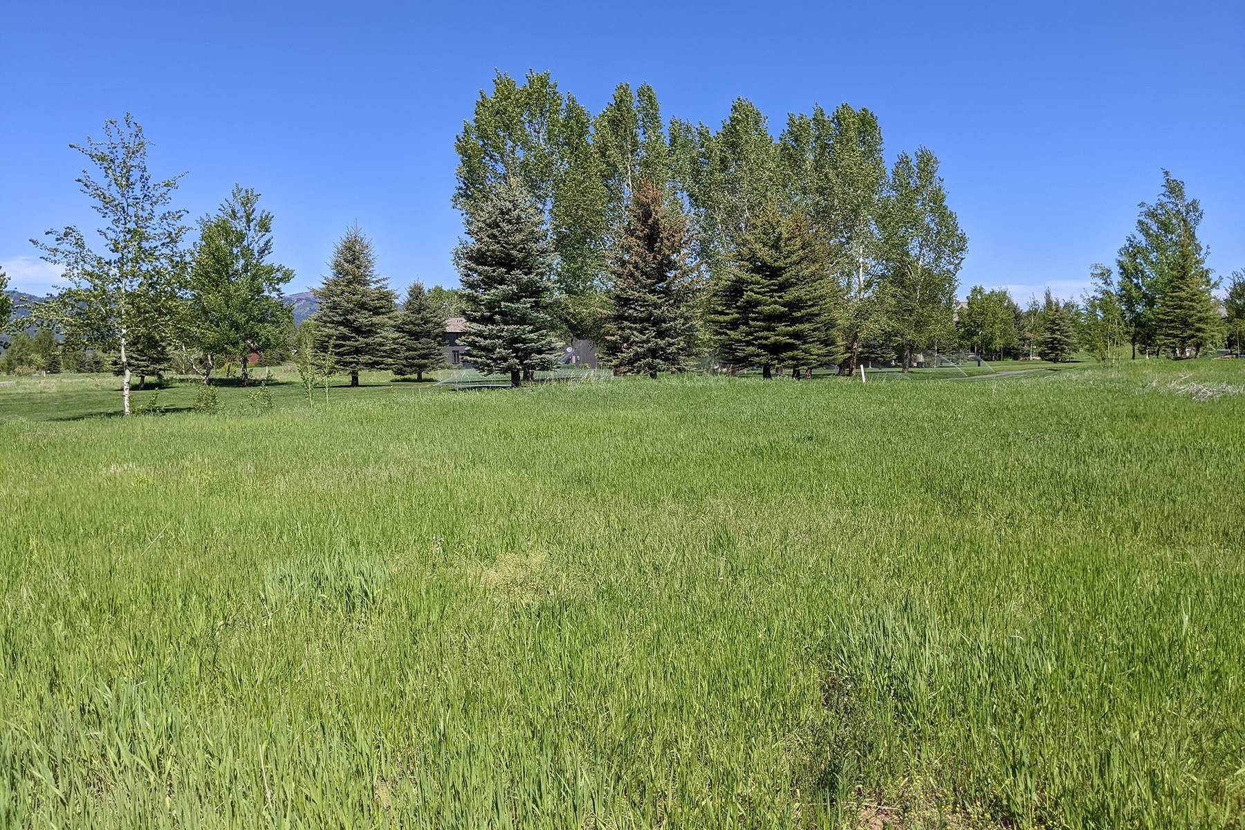 8. Land for Sale at 108 Cluff Lane Victor, Idaho 83455 United States