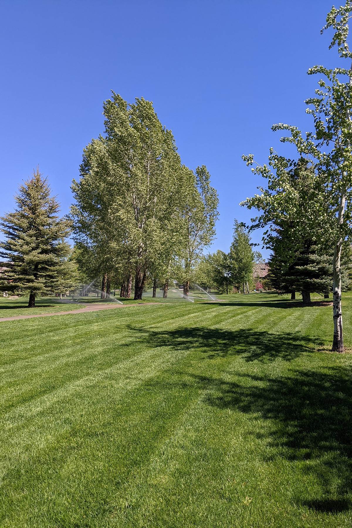 7. Land for Sale at 108 Cluff Lane Victor, Idaho 83455 United States