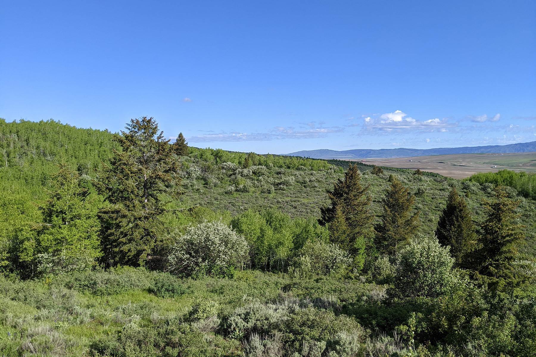 2. Land for Sale at Lot 11 Wagon Wheel Road Swan Valley, Idaho 83449 United States