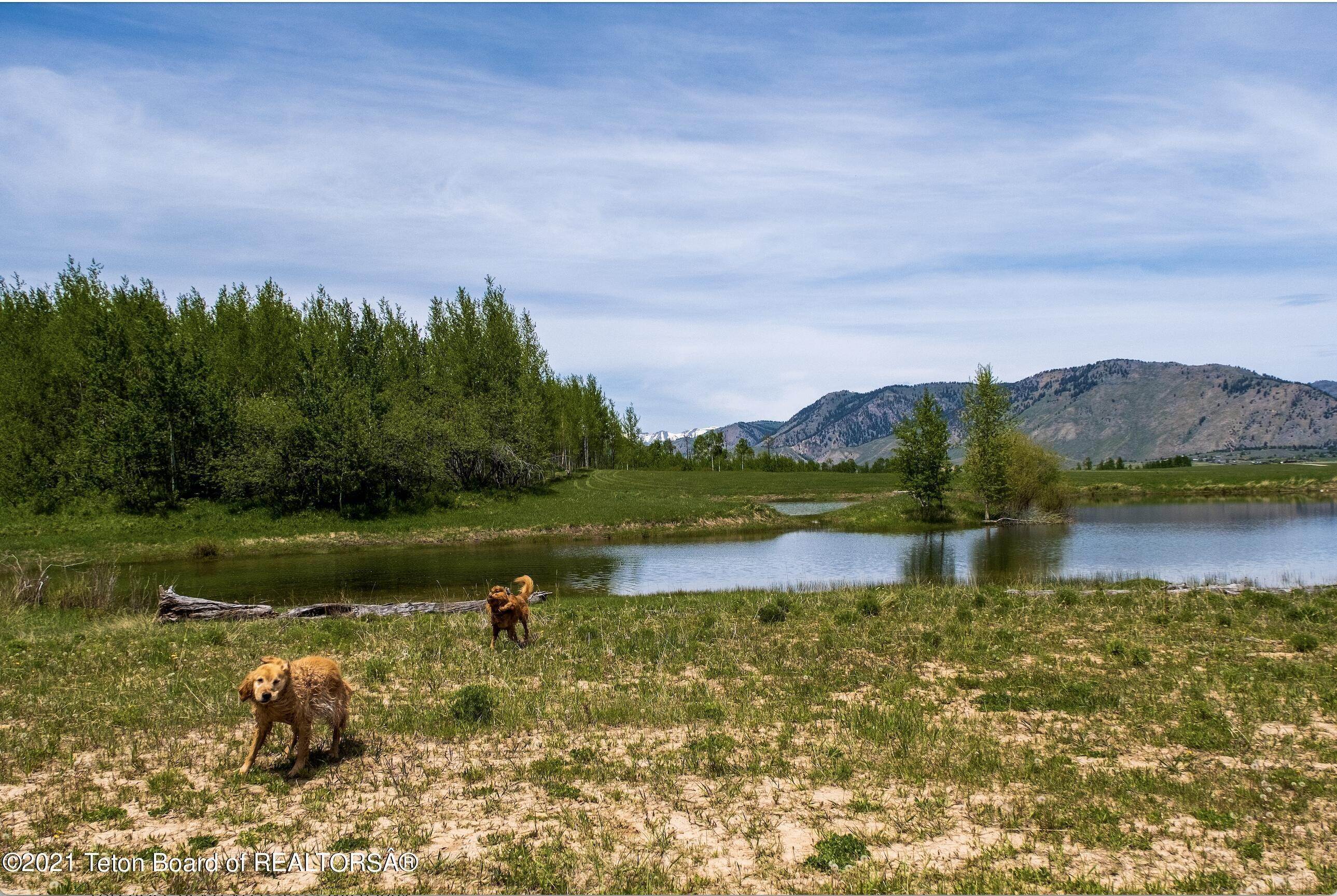 13. Land for Sale at 8810 S ROSS PLATEAU ROAD Jackson, Wyoming 83001 United States