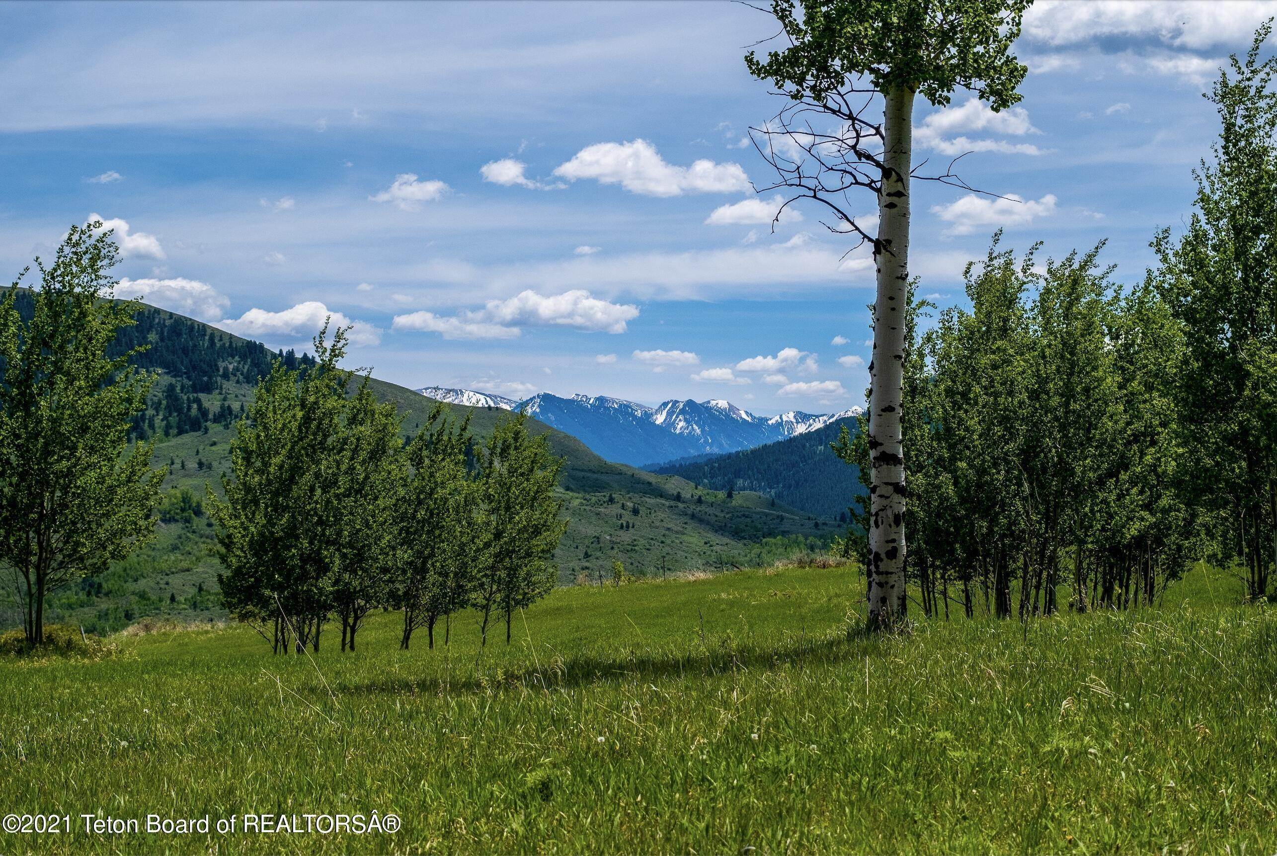 3. Land for Sale at 8810 S ROSS PLATEAU ROAD Jackson, Wyoming 83001 United States