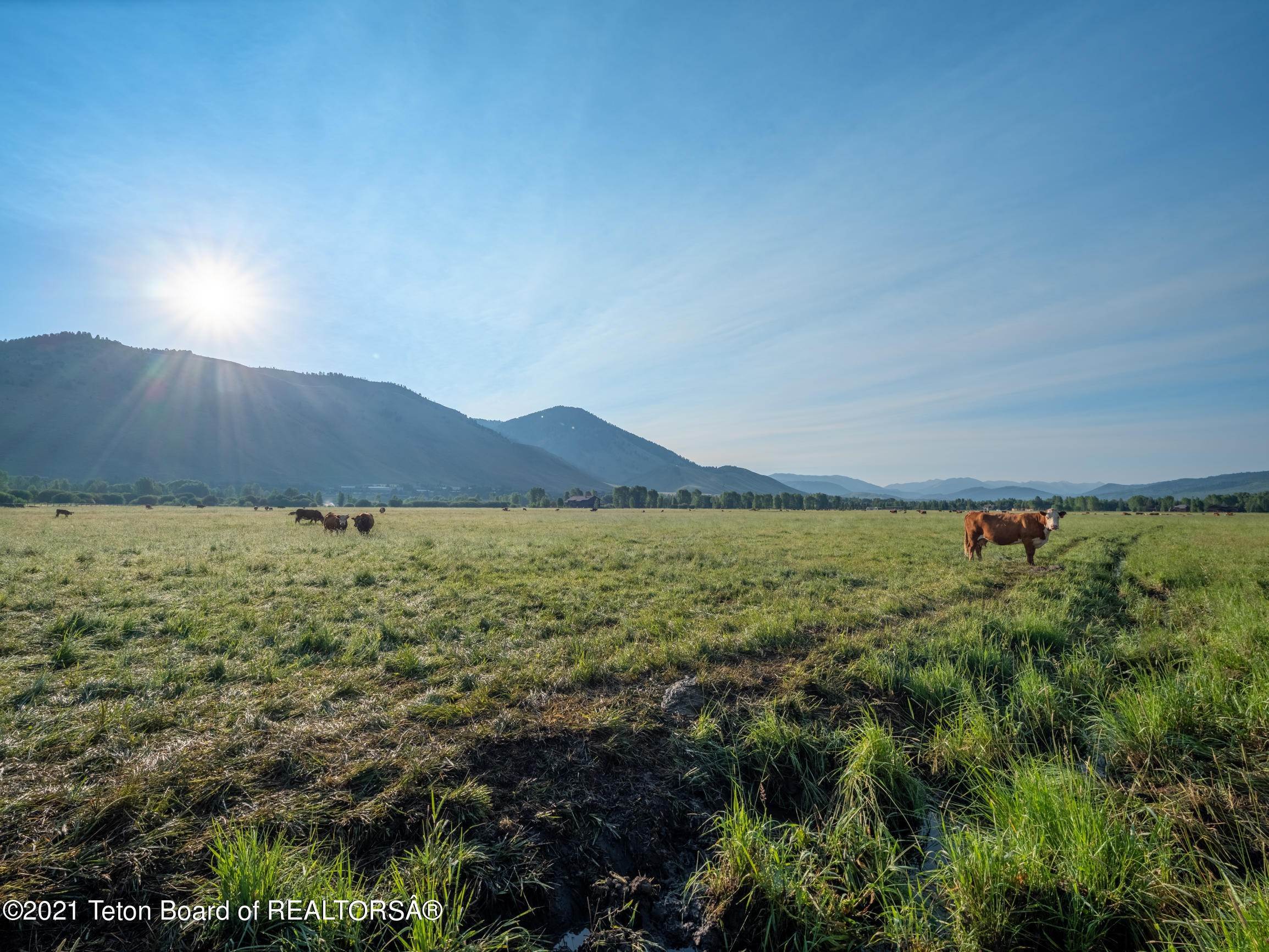8. Land for Sale at 4500 S PARK LOOP ROAD Jackson, Wyoming 83001 United States