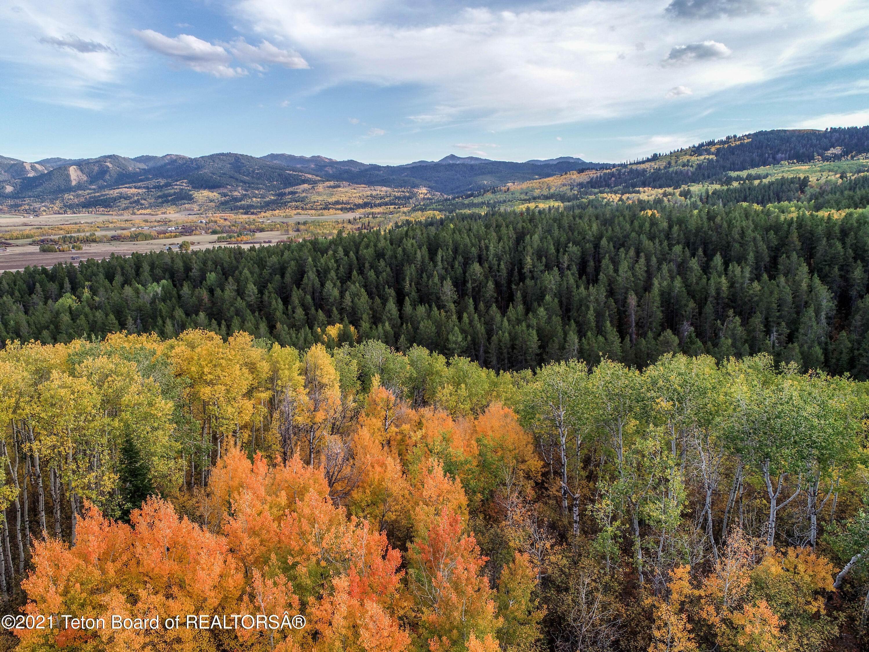 10. Land for Sale at TBD GROVE CREEK Road Victor, Idaho 83455 United States