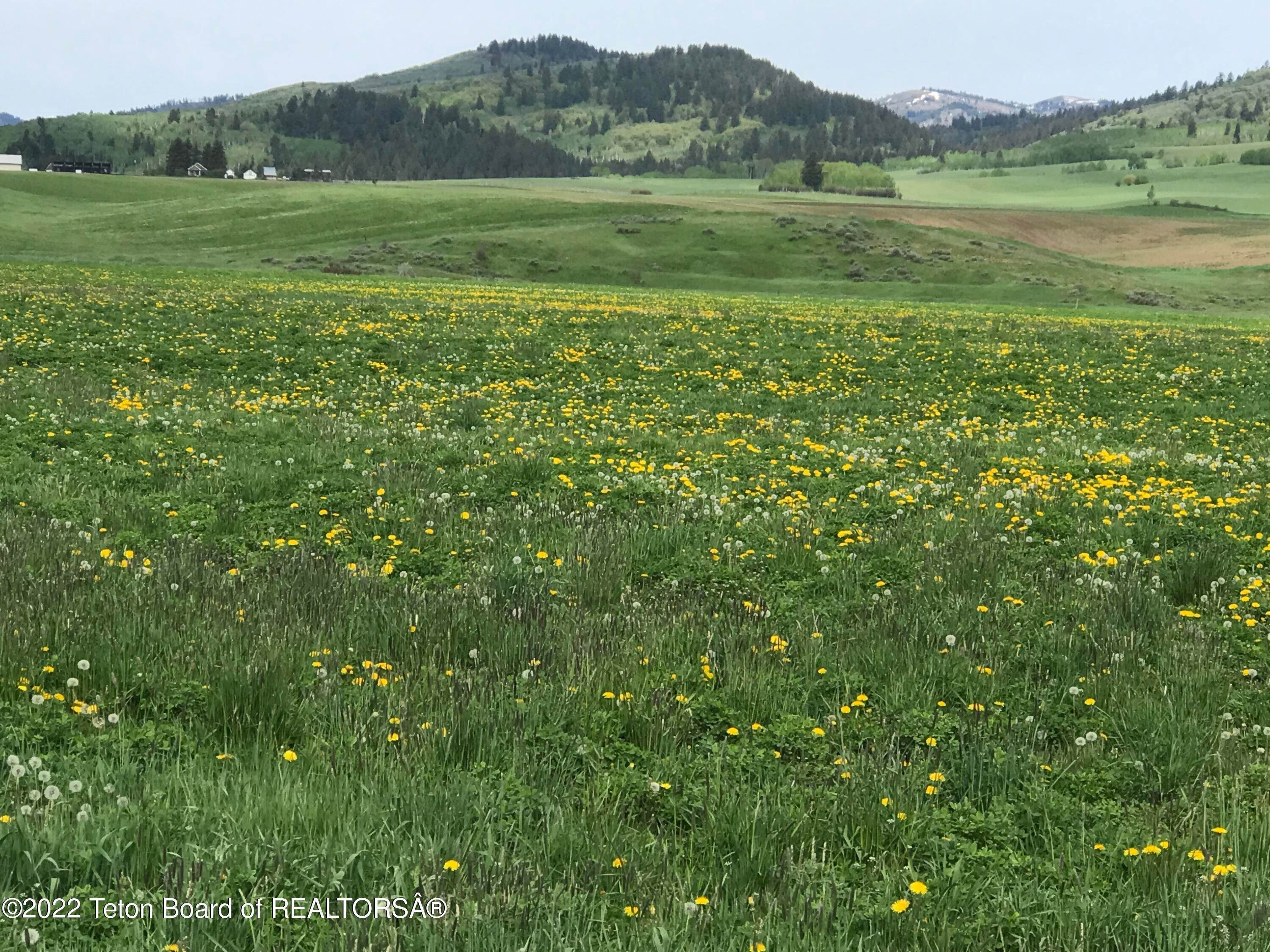 Land for Sale at 20 AC STATELINE ROAD Freedom, Wyoming 83120 United States
