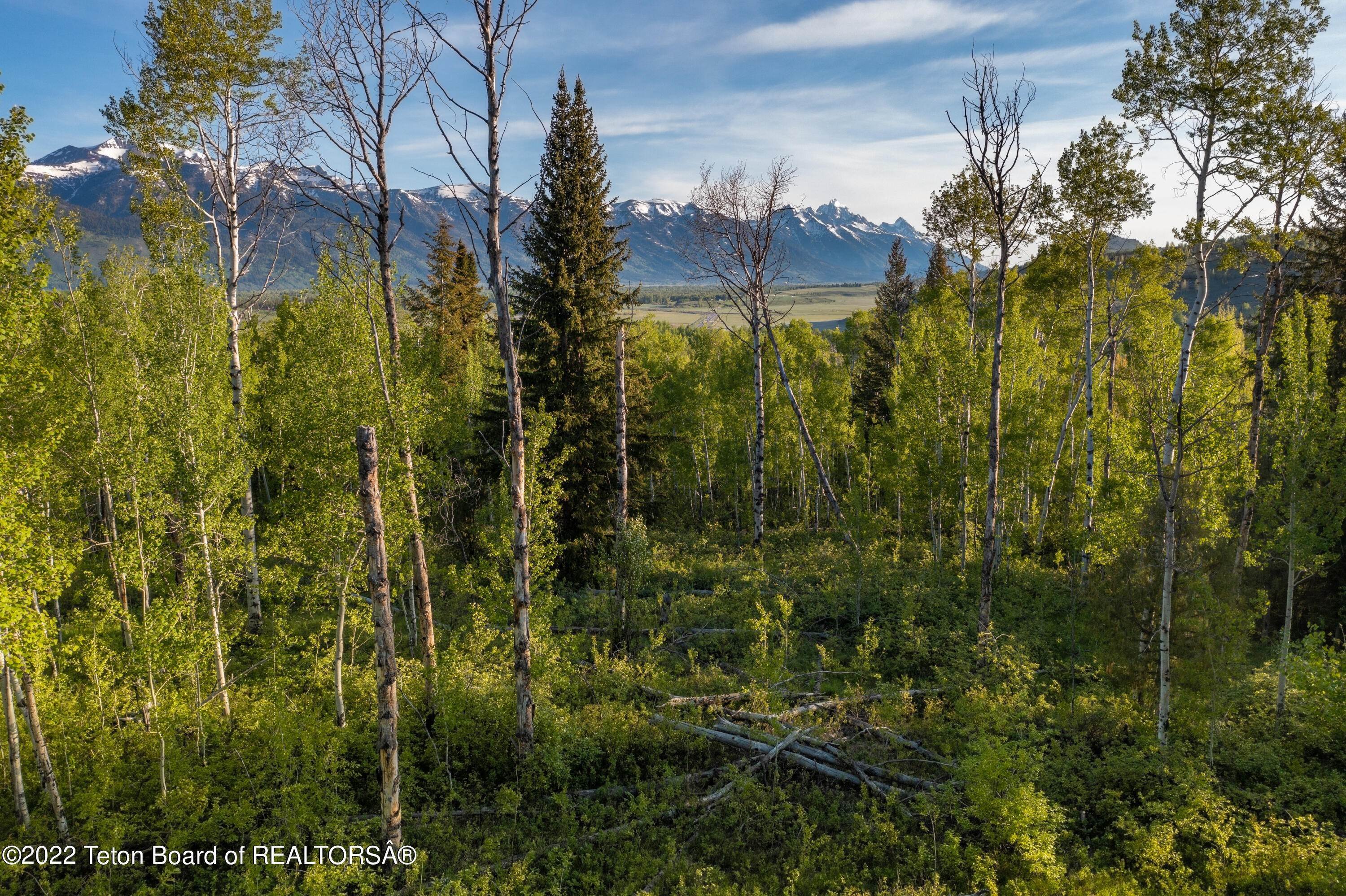 4. Land for Sale at 375 S INDIAN SPRINGS Drive Jackson, Wyoming 83001 United States
