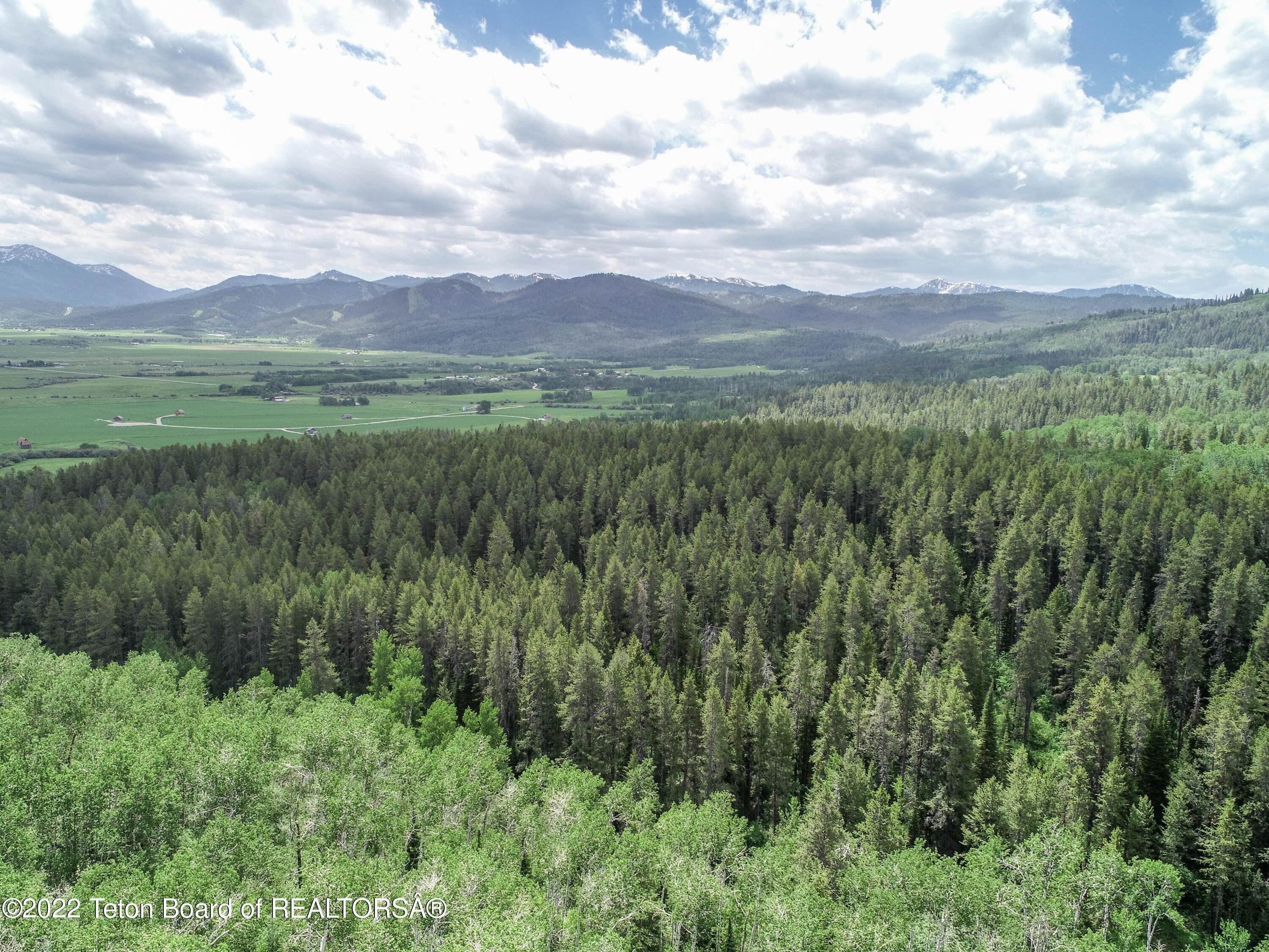 4. Land for Sale at TBD GROVE CREEK Road Victor, Idaho 83455 United States