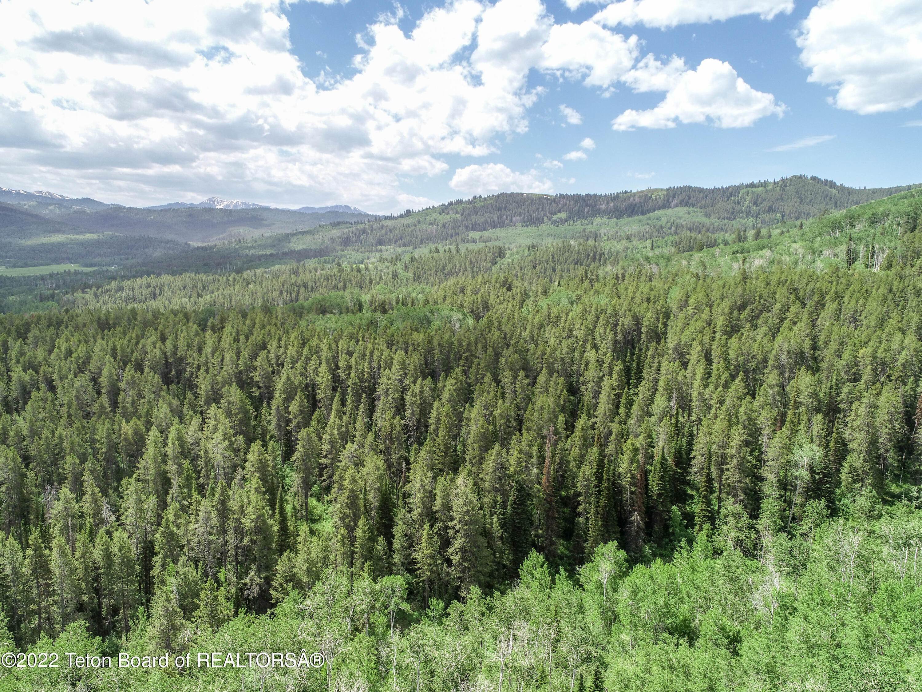 5. Land for Sale at TBD GROVE CREEK Road Victor, Idaho 83455 United States