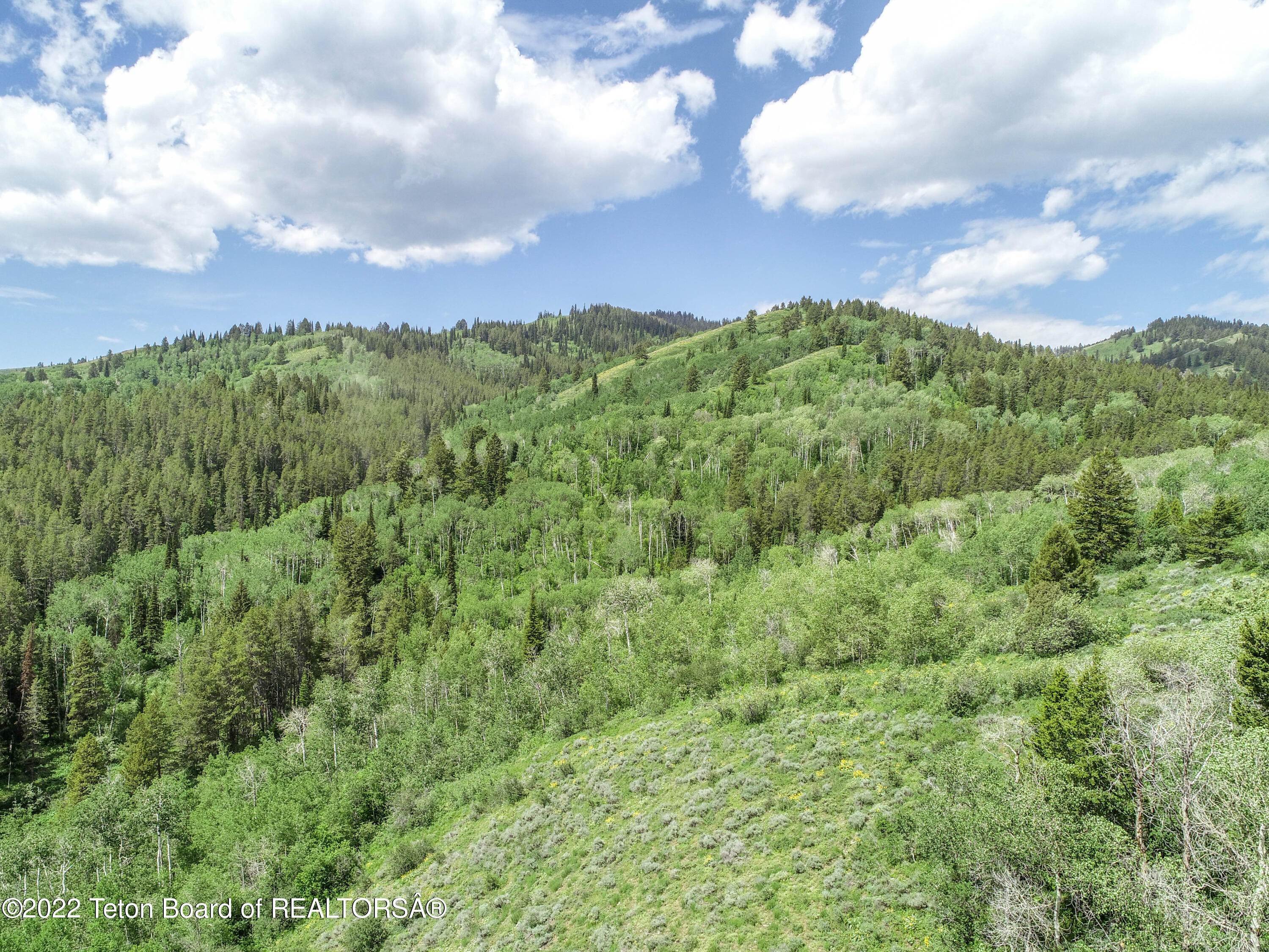 15. Land for Sale at TBD GROVE CREEK Road Victor, Idaho 83455 United States