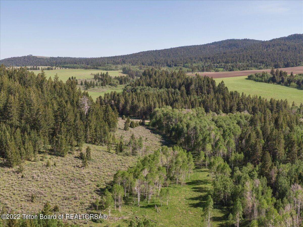 6. Farm and Ranch Properties for Sale at TRAPPERS PEAK RANCH Tetonia, Idaho 83452 United States