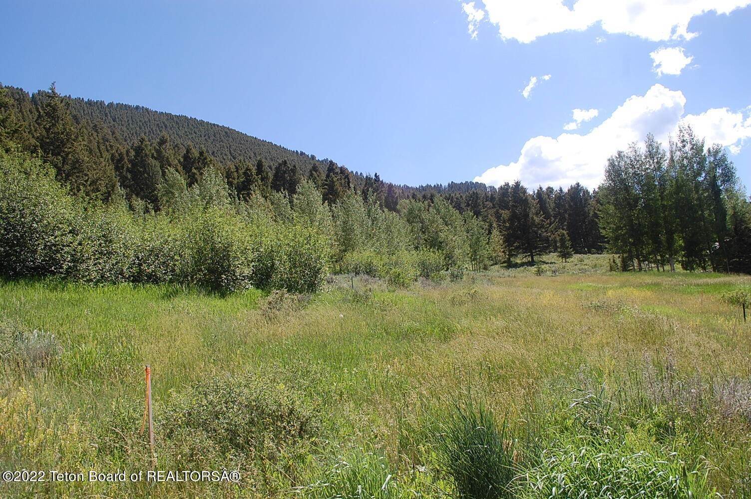 3. Land for Sale at 729 RODEO Drive Jackson, Wyoming 83001 United States