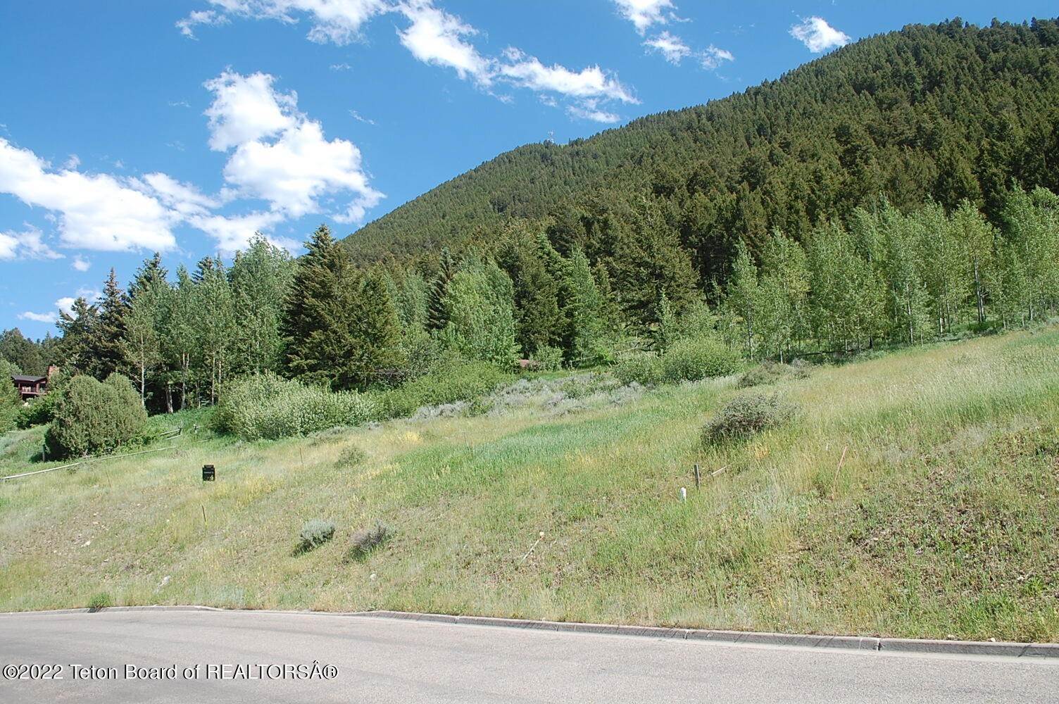 4. Land for Sale at 729 RODEO Drive Jackson, Wyoming 83001 United States