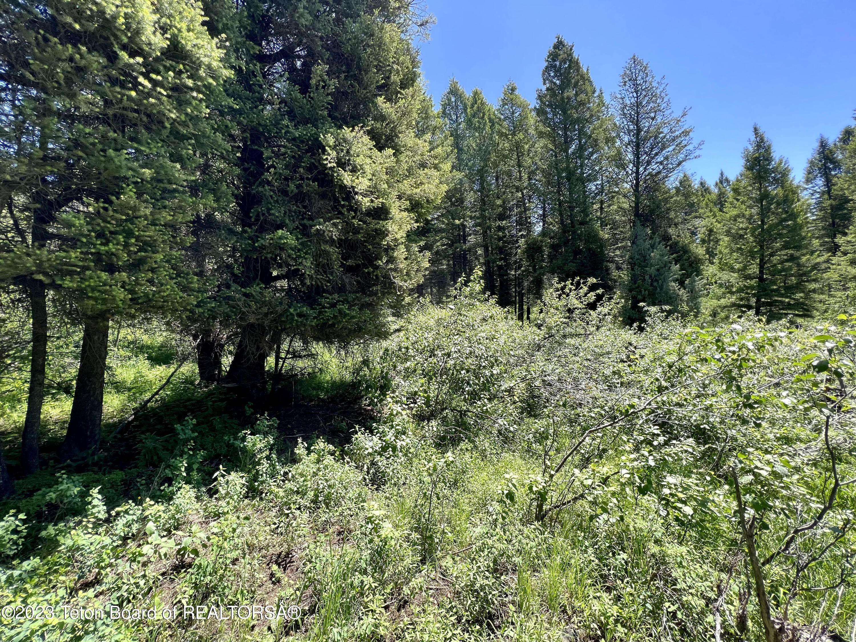 Land for Sale at LOT 22 CEDAR DR LOT 22 CEDAR DR Star Valley Ranch, Wyoming 83127 United States