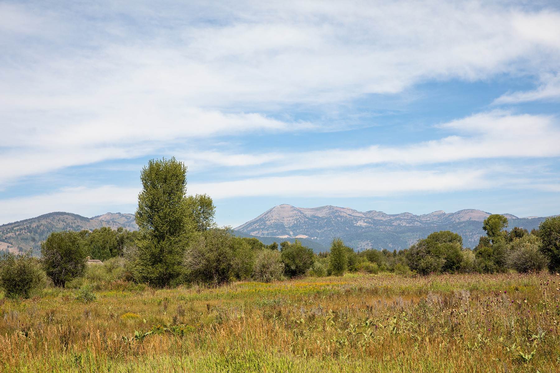9. Land for Sale at TBD Rockmore Road Jackson, Wyoming 83001 United States