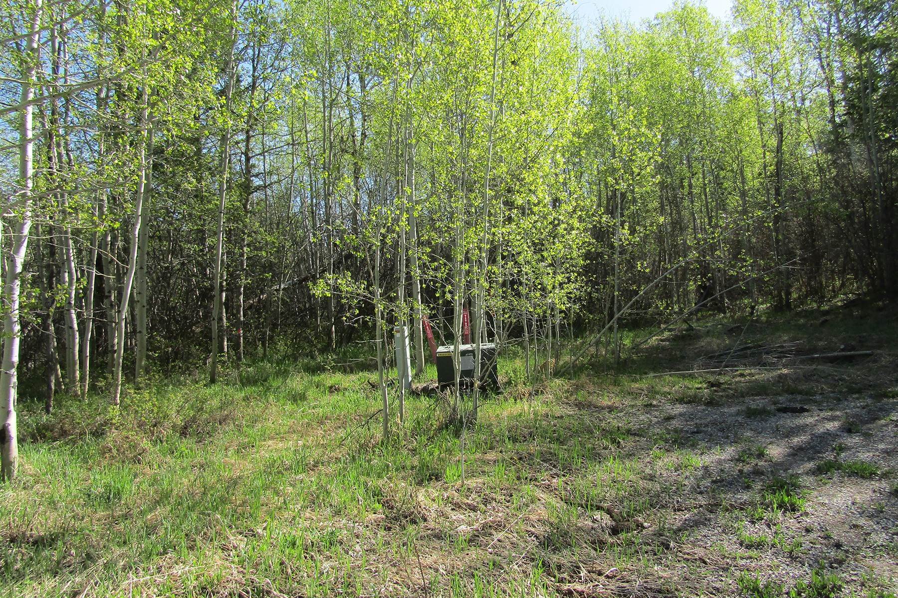 17. Land for Sale at Treed Lot - Alpine Setting - Victor 5185 Balsam Lane Victor, Idaho 83455 United States