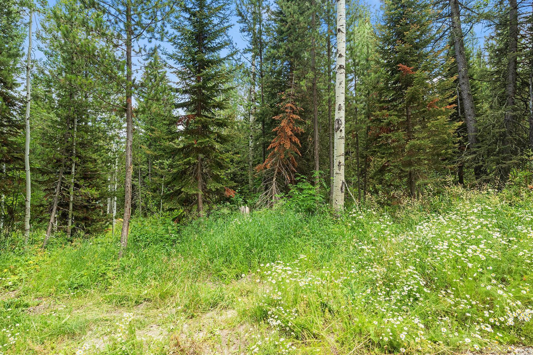 8. Land for Sale at Fall Creek Sanctuary 6420 W Burcher Road Wilson, Wyoming 83014 United States