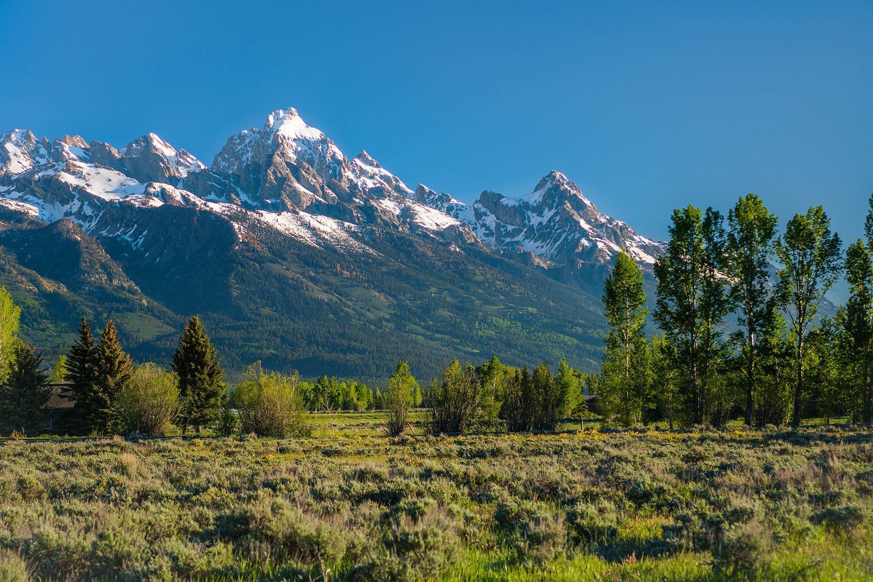 5. Land for Sale at Sweeping Panoramic Views North of Town 250 E Sagebrush Drive Jackson, Wyoming 83001 United States