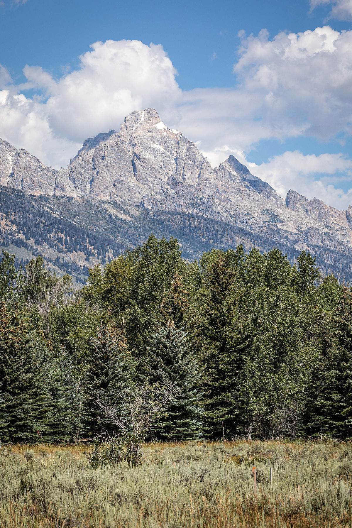 28. Land for Sale at Grand Teton Views and Water in Peaceful Owl Creek 8850 N Deland Drive Jackson, Wyoming 83001 United States