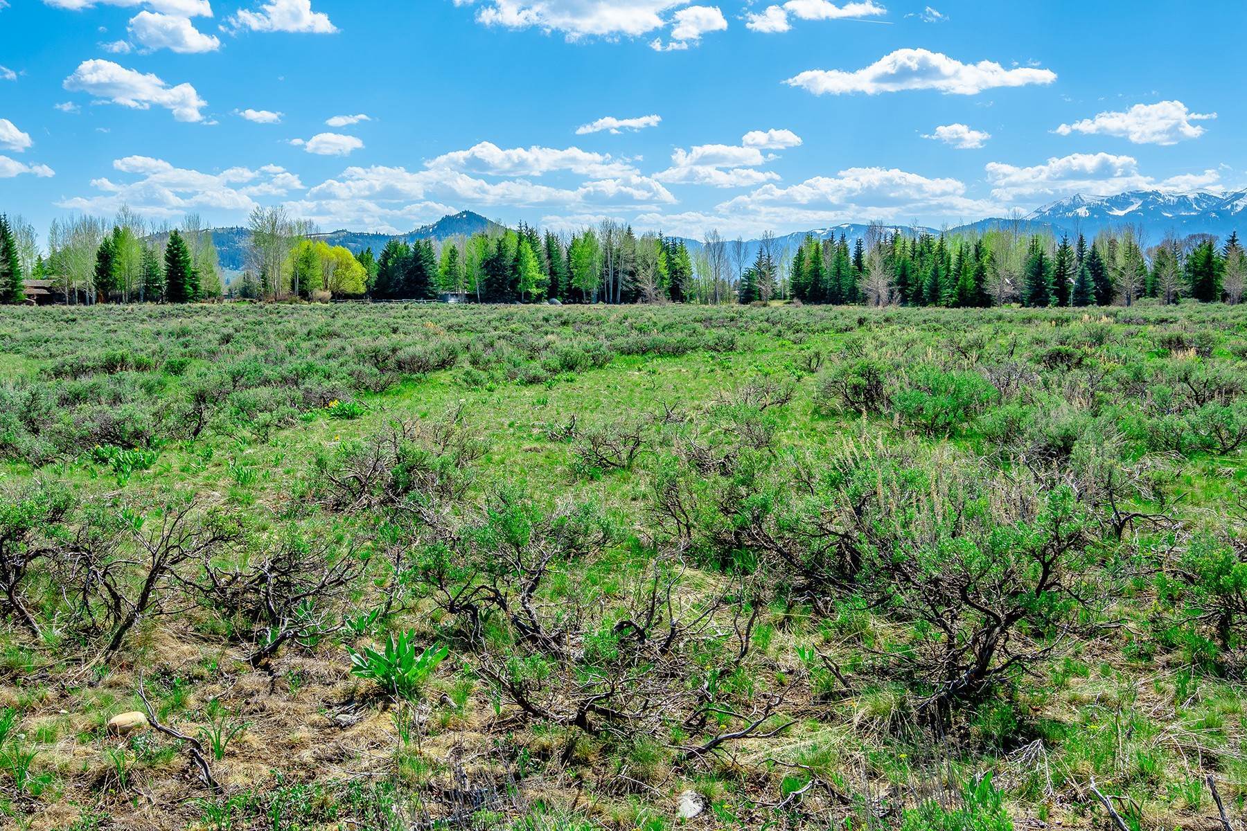 11. Land for Sale at 250 E Sagebrush Drive Jackson, Wyoming 83001 United States