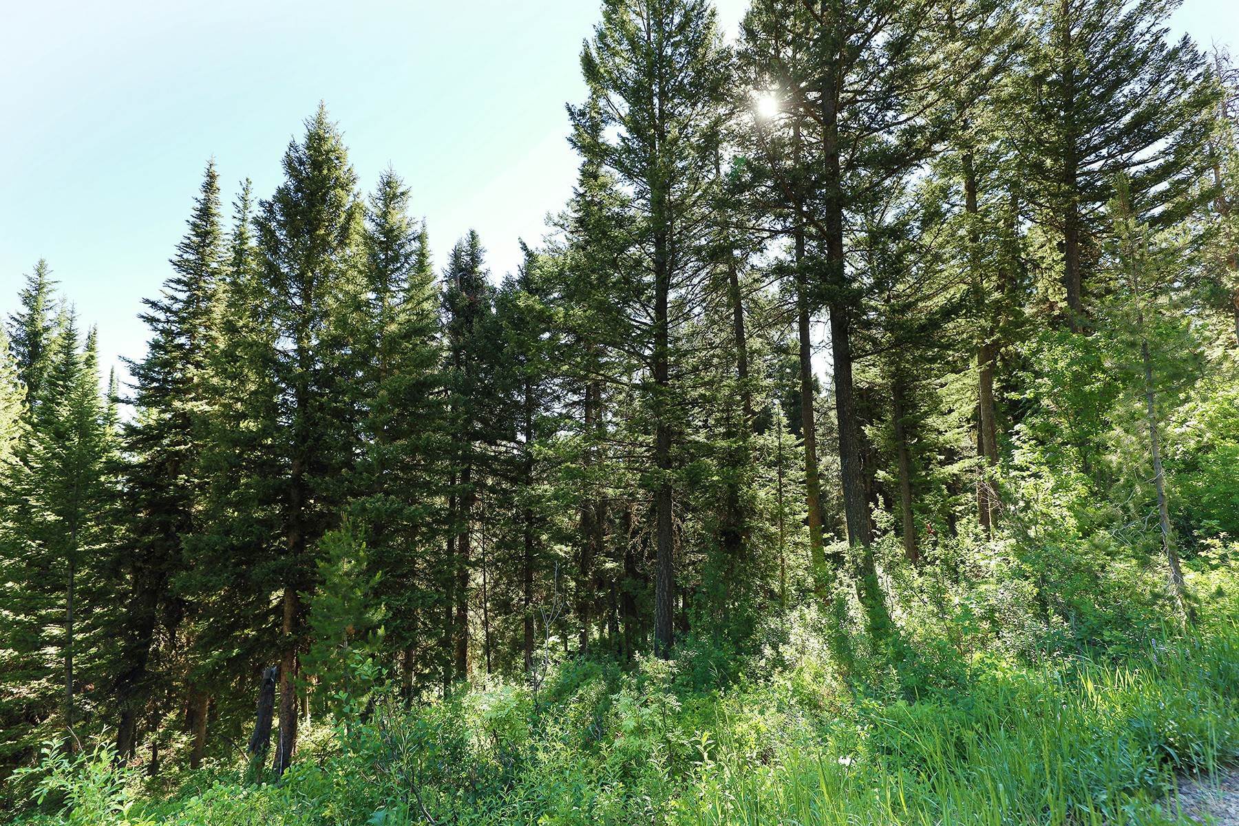 4. Land for Sale at West Lupine Trail 6620 W Lupine Trail Wilson, Wyoming 83014 United States