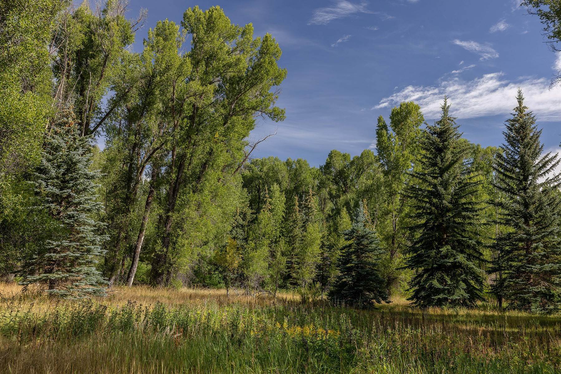 16. Land for Sale at Ely Springs Homesite 155 S Ely Springs Road Jackson, Wyoming 83001 United States