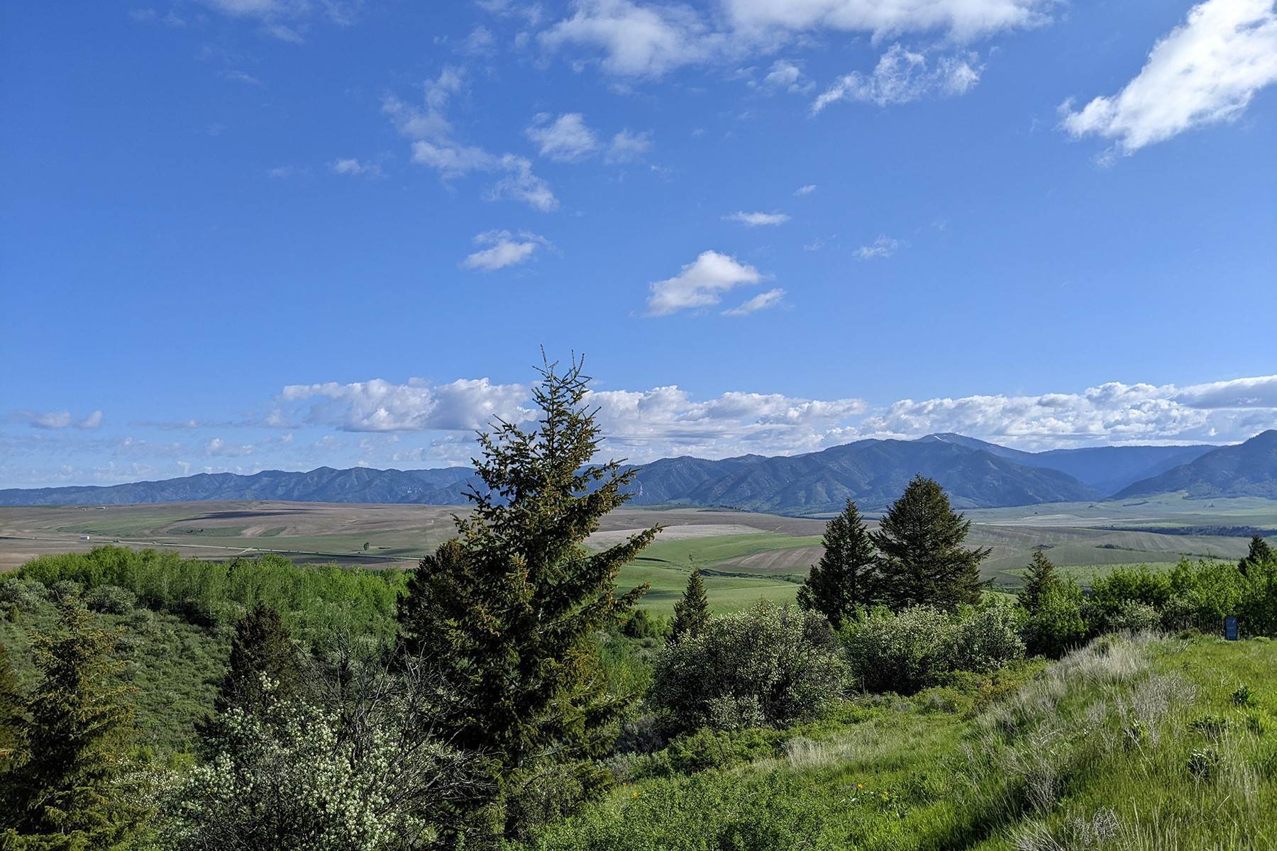 3. Land for Sale at Lot 11 Wagon Wheel Road Swan Valley, Idaho 83449 United States