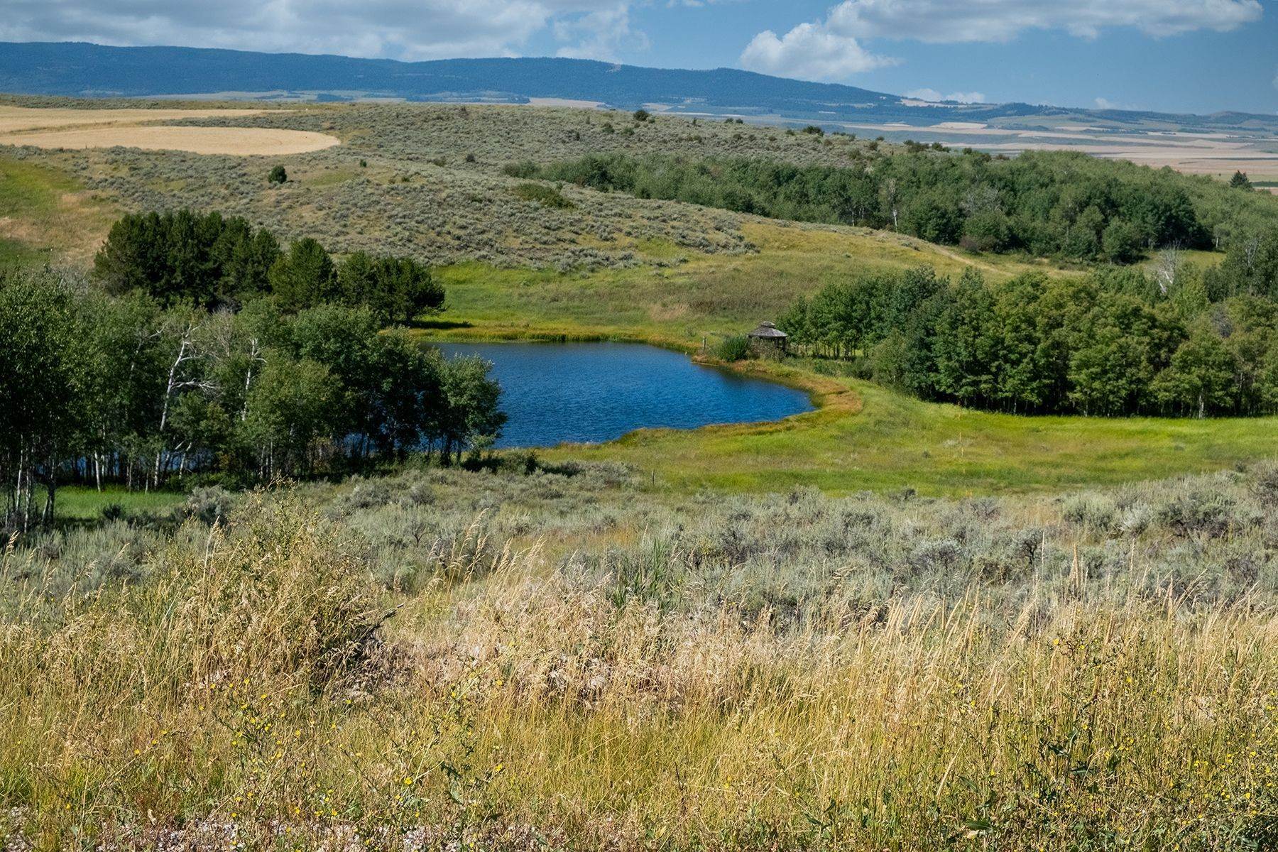 21. Land for Sale at 2397 Tamarack Trail Tetonia, Idaho 83452 United States