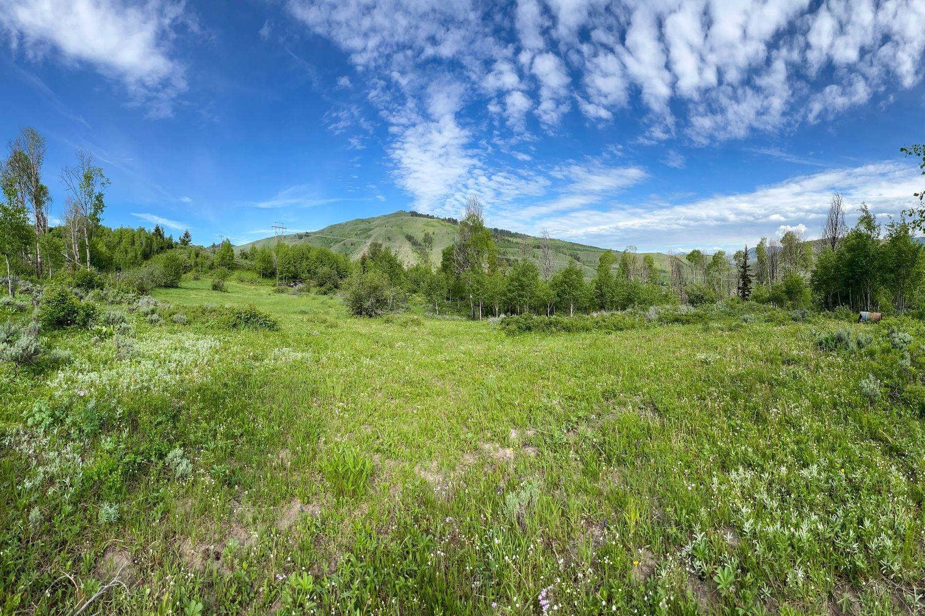 1. Land for Sale at 20 Acres Bordering National Forest Rodeo Road Jackson, Wyoming 83001 United States