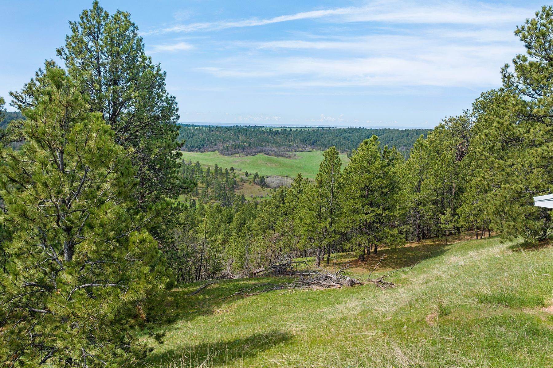 35. Farm and Ranch Properties for Sale at Black Hills Sundance Ranch 140 Cow Camp Road Sundance, Wyoming 82729 United States
