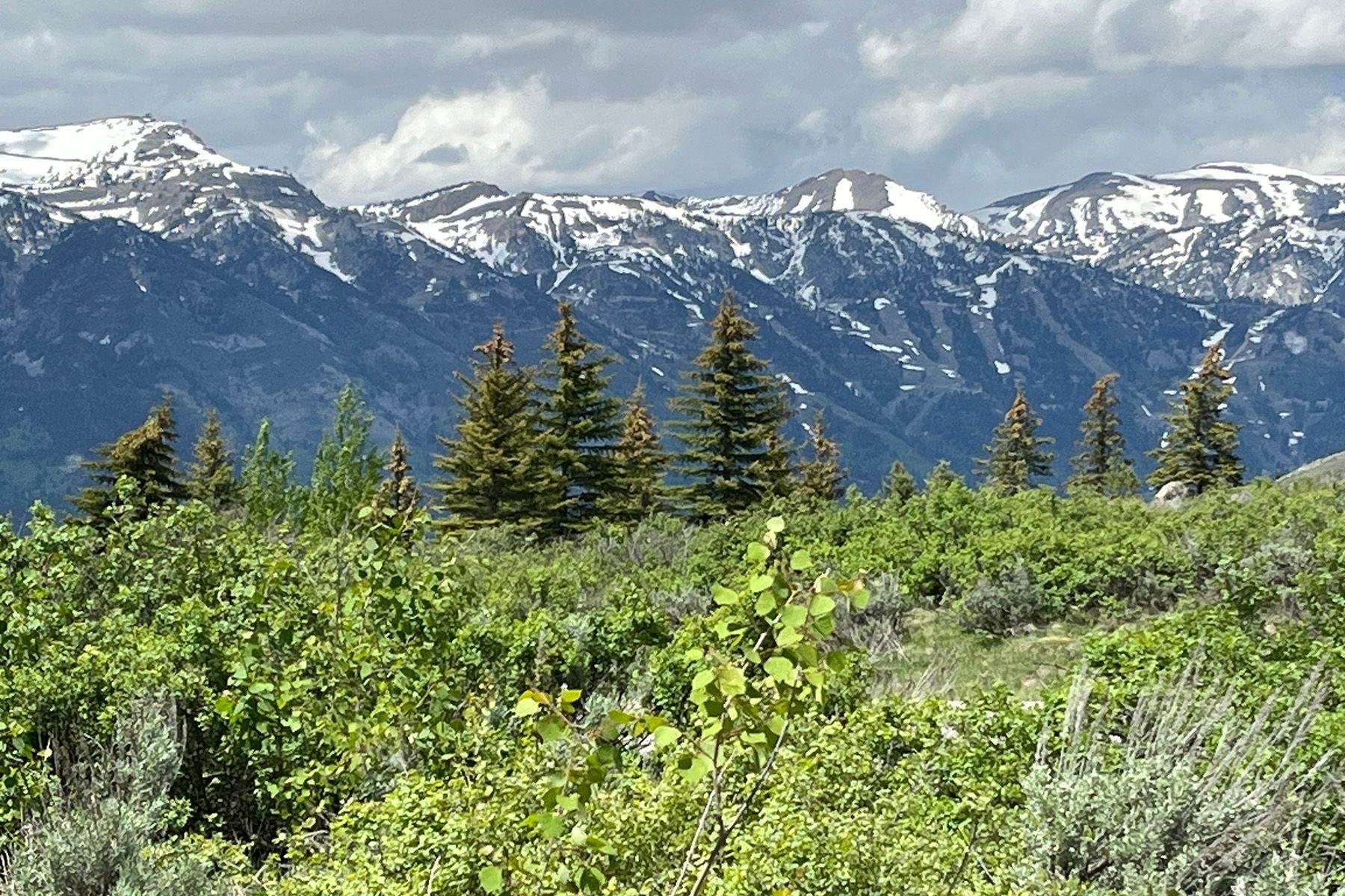 6. Land for Sale at Elevated Building Site 20 Gros Ventre North Jackson, Wyoming 83001 United States