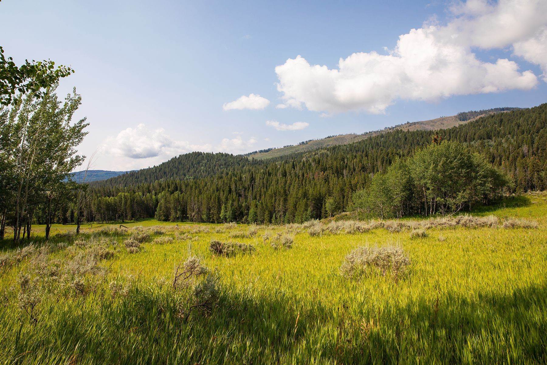 4. Land for Sale at North Fall Creek Road 455 N Fall Creek Road Jackson, Wyoming 83001 United States