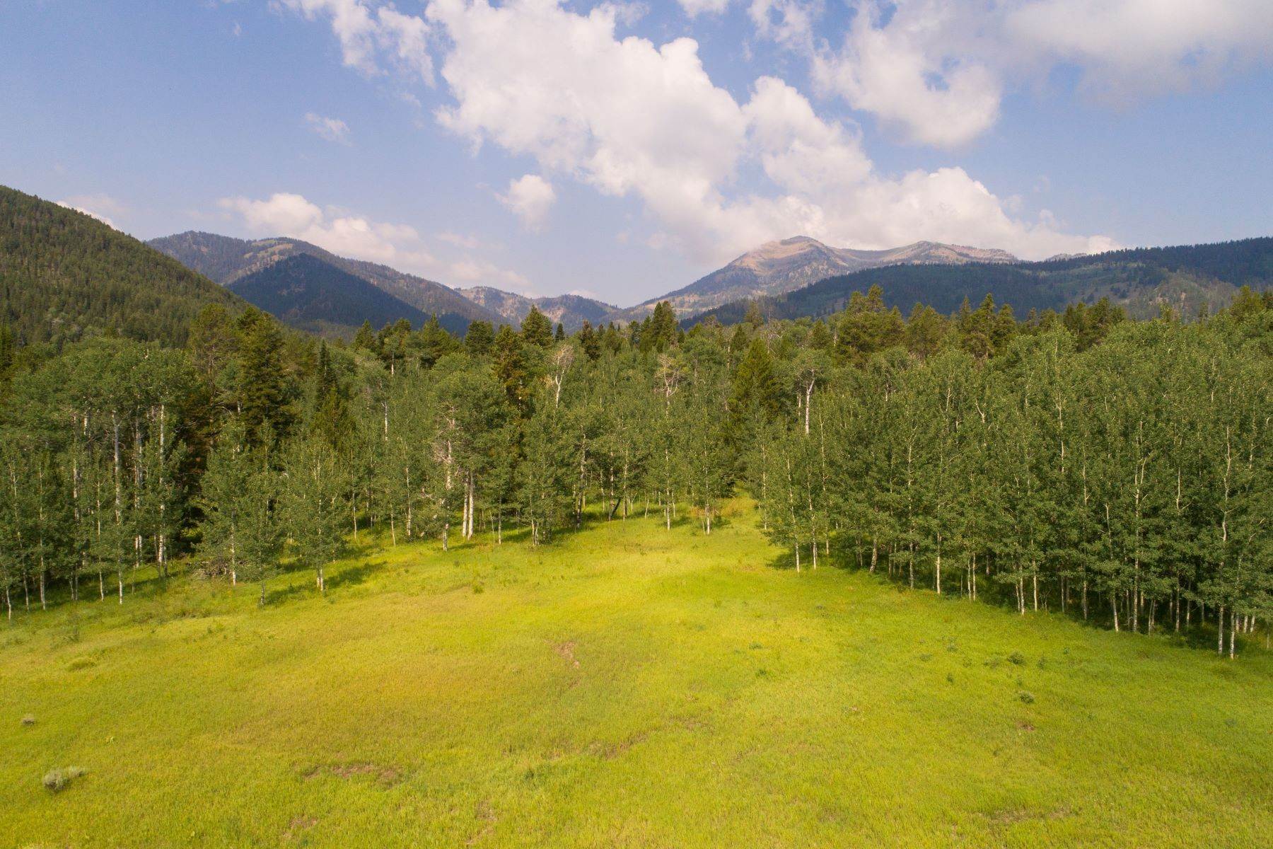 12. Land for Sale at North Fall Creek Road 455 N Fall Creek Road Jackson, Wyoming 83001 United States