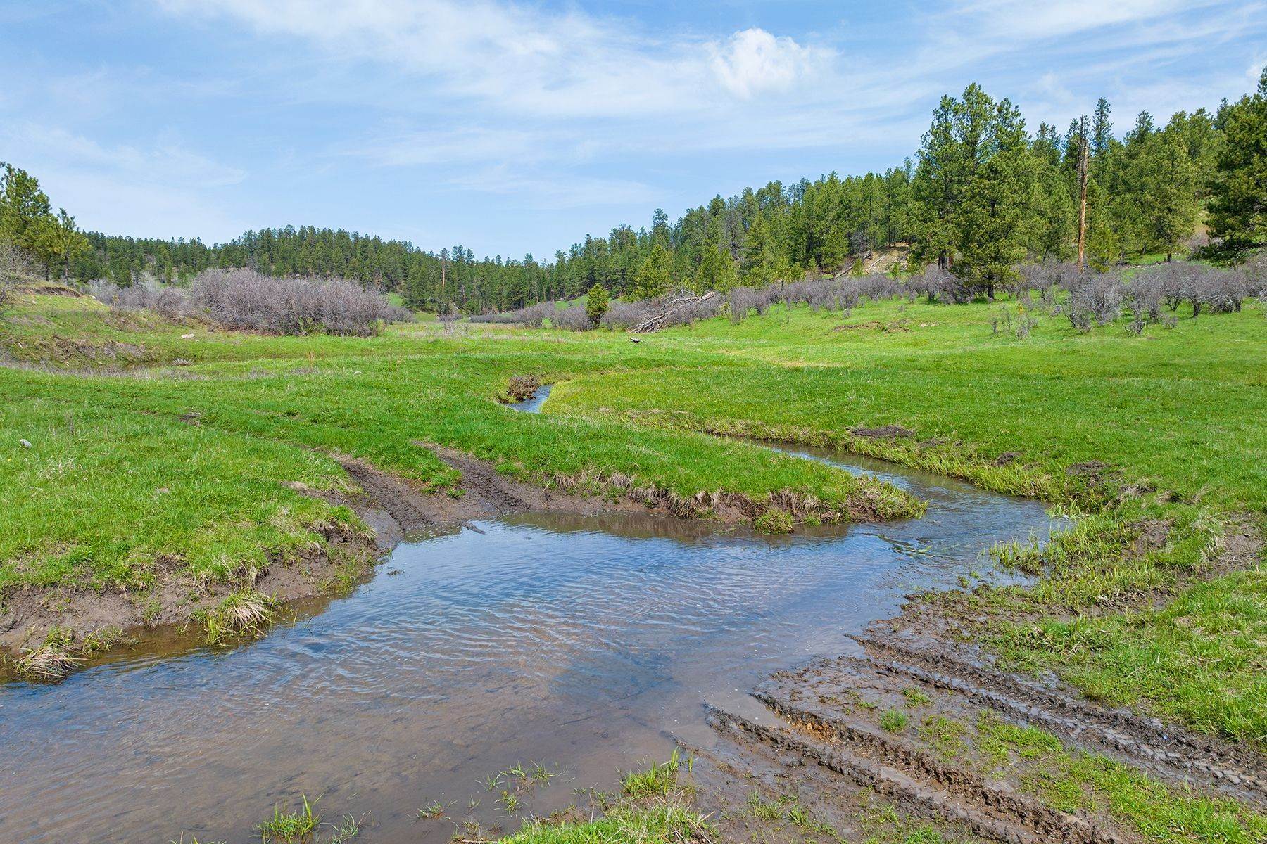 39. Farm and Ranch Properties for Sale at Black Hills Sundance Ranch 140 Cow Camp Road Sundance, Wyoming 82729 United States