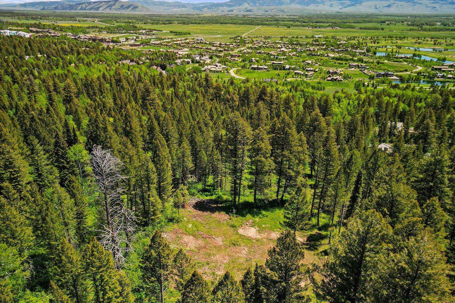 5. Land for Sale at 6830 Sublette Woods Road Teton Village, Wyoming 83025 United States