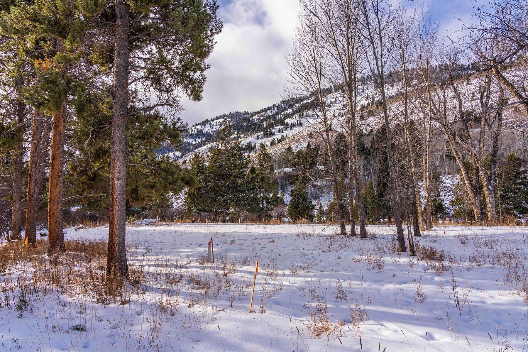 18. Land for Sale at Building Lot with Fish Creek Frontage 5075 W Rainbow Trout Lane Wilson, Wyoming 83014 United States